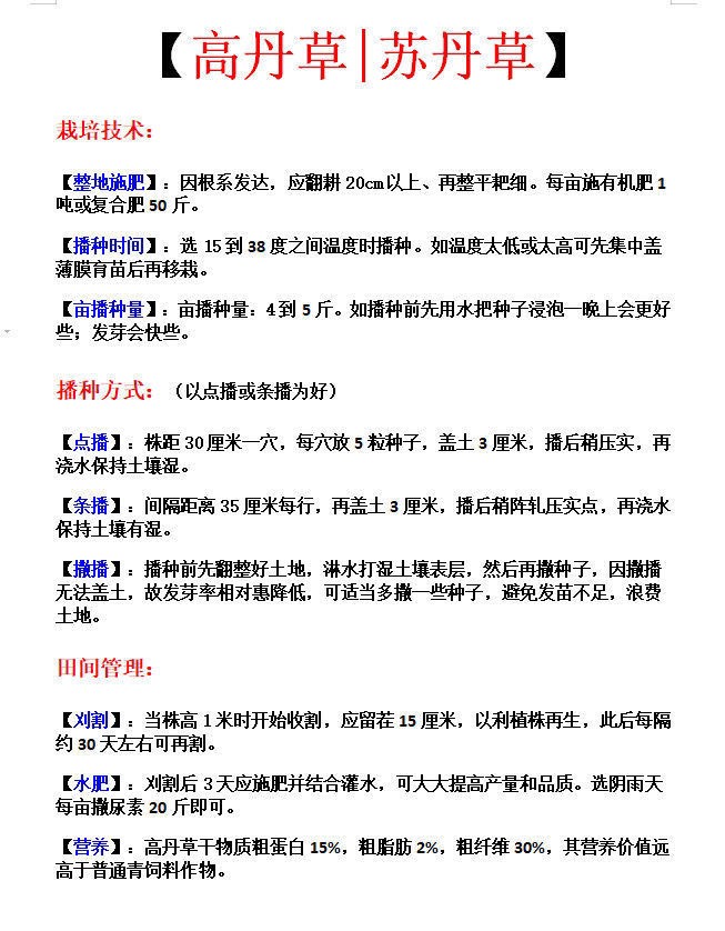 牧草 墨西哥玉米草