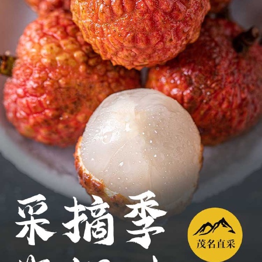 化州市妃子笑荔枝 茂名荔枝妃子笑白糖婴桂味等供应链一代发大宗货