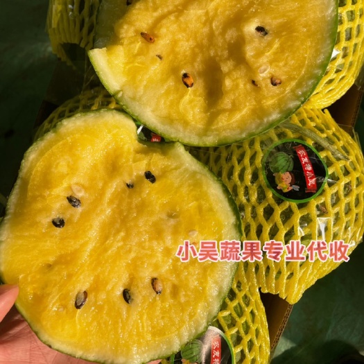 沭阳县特小凤西瓜 熟度好 质量高 每天货源充足 诚信代办
