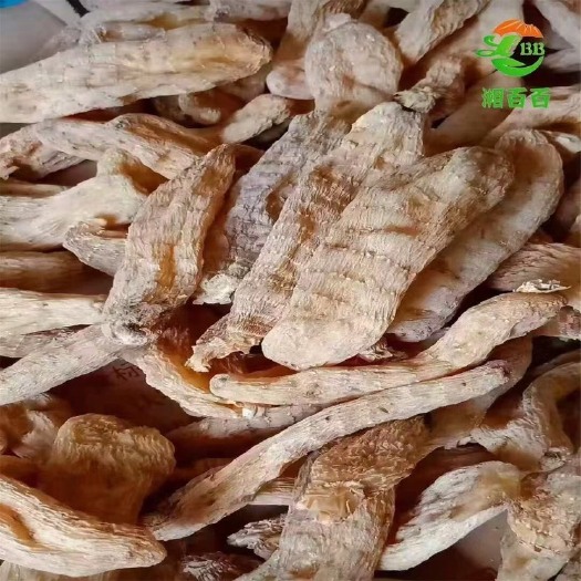 西峡县乌天麻 伏牛山天麻