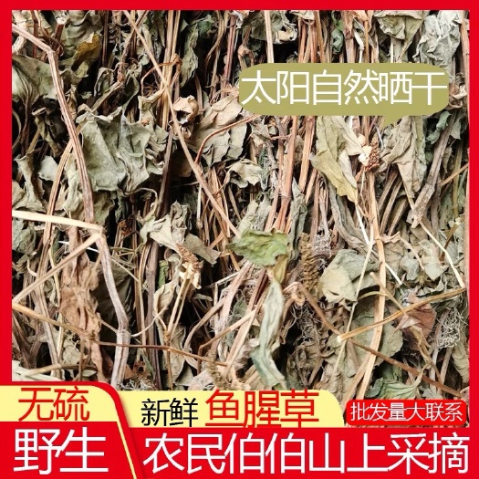 南江县红茎鱼腥草  鱼腥草折耳根中药材干货水洗无泥土干净含量达标