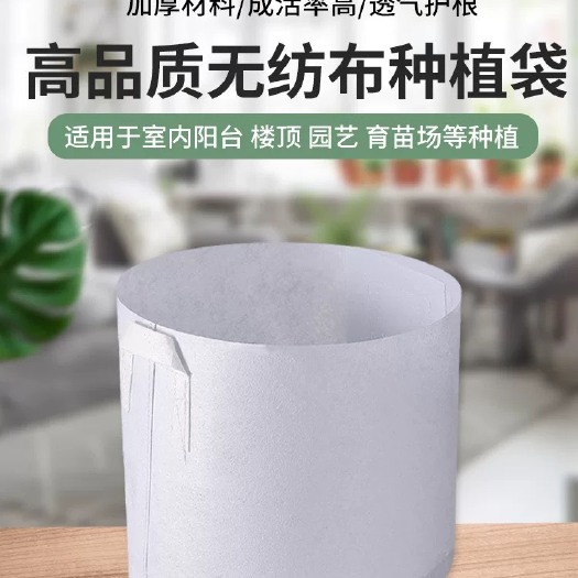 桐城市育苗袋/育苗杯/容器袋 美植袋批发无纺布种植袋育苗营养袋