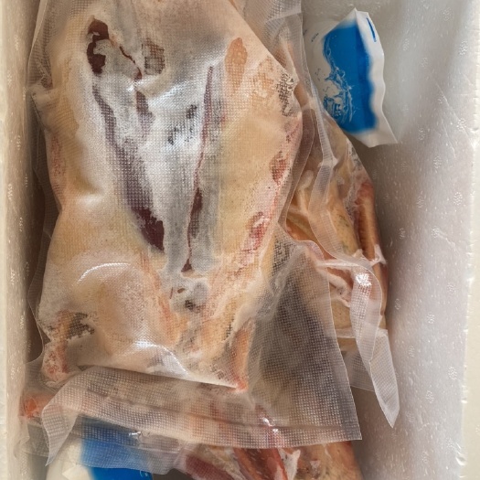 射阳县鸭肉类 三年正宗老鸭/会飞半圈养殖/纯玉米喂养