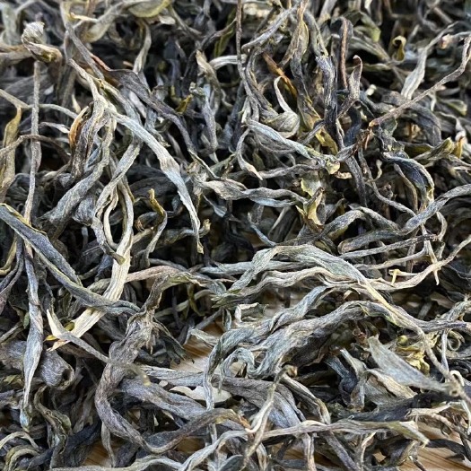 勐海县 滑竹梁子高山云雾茶