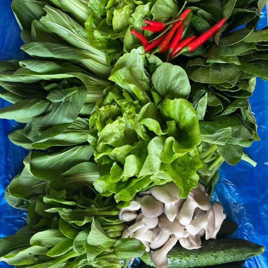 上海莼菜 蔬菜大礼包