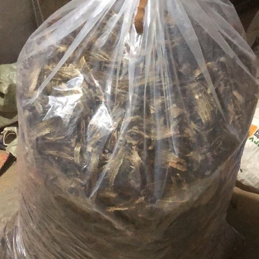 萧县 全开地龙，货好