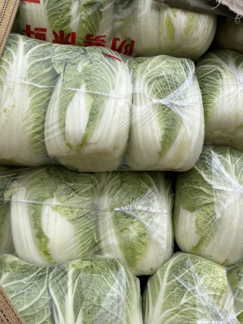 高原夏菜，精品娃娃菜，外綠內黃，品質優(yōu)良
