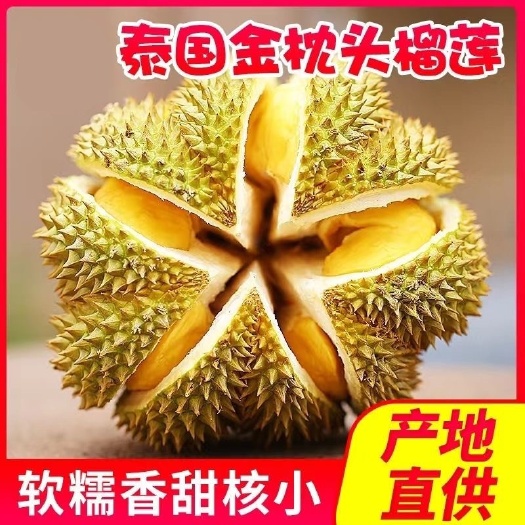 南宁泰国一级金枕头榴莲带壳新鲜水果一整个3-10斤批发优惠包邮