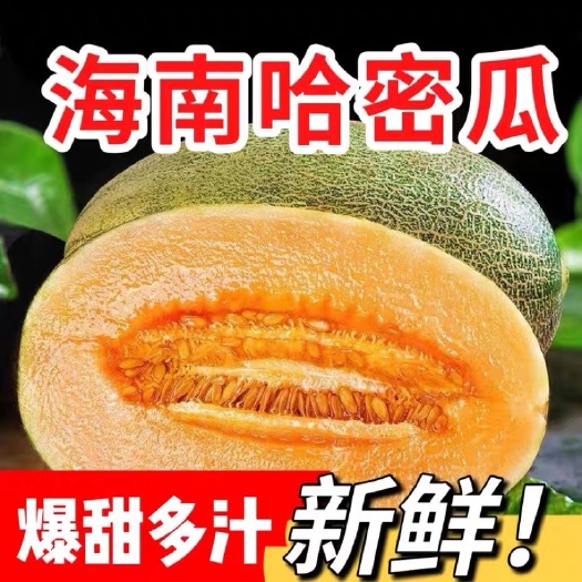 海口【一件代发】西州蜜海南哈密瓜新鲜孕妇水果香甜包邮9斤当季整箱