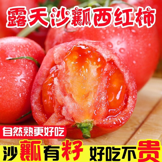 昌乐县山东番茄普罗旺斯西红柿自然成熟新鲜沙瓤生吃应季水果一件代发