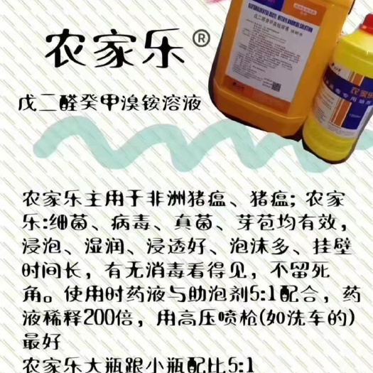 本溪农家乐￼/猪瘟疾病