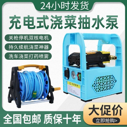 广州打药机 充电式便携手提抽水泵浇菜浇水家用户外田园农用浇地