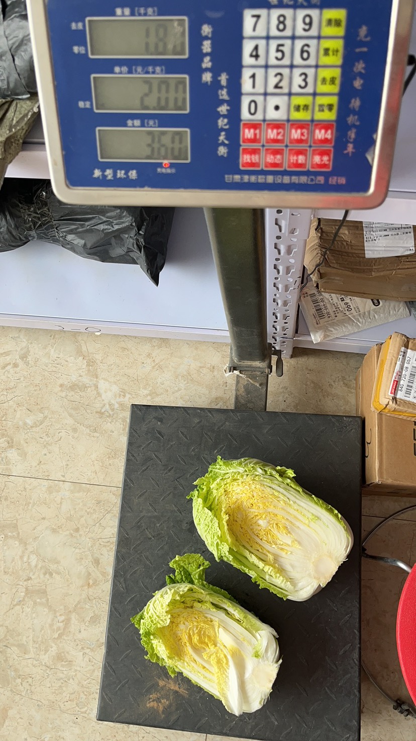高原夏菜，精品娃娃菜，外綠內黃，品質優(yōu)良
