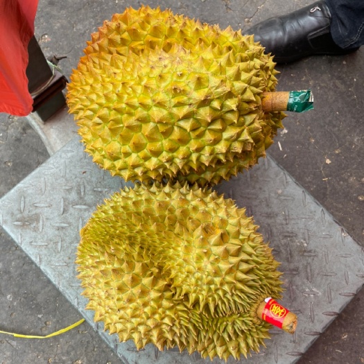 昆明泰国金枕榴莲新鲜水果当季带壳整果2-10斤巴掌榴莲包邮