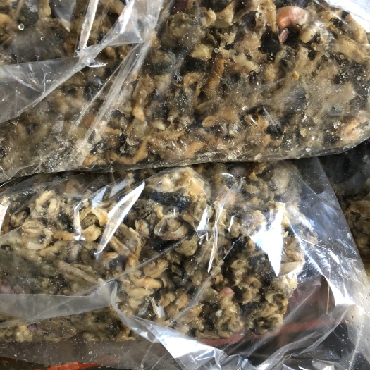 莱州市饲料级扇贝边