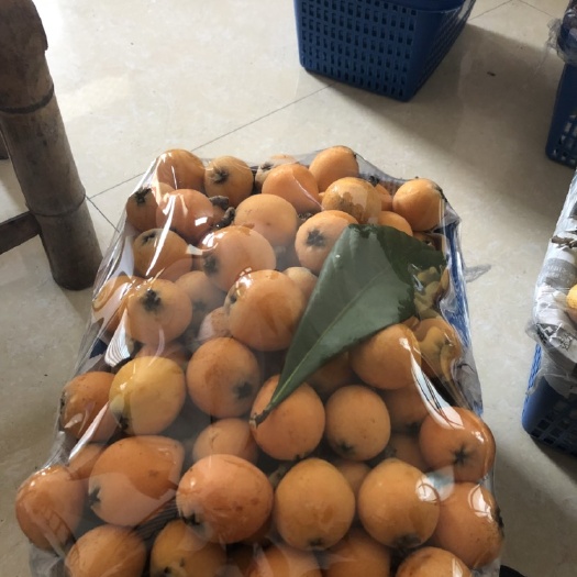 仙居县精品黄枇杷