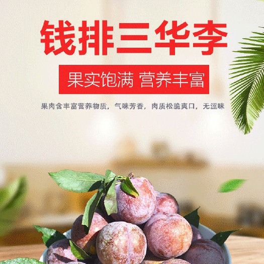 信宜市钱排三华李酸脆爽口。￼送辣椒盐
