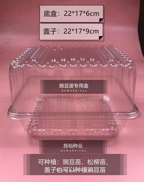 芽苗菜种植盒22×17×15豌豆苗种植盒带盖底部带漏水孔
