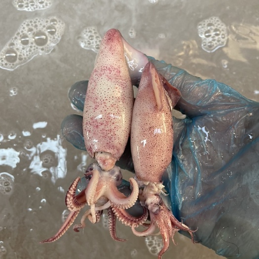 青岛大笔管