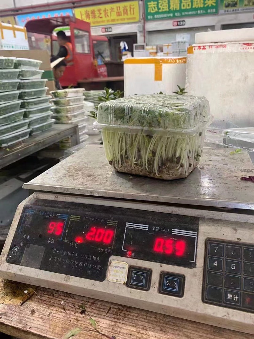 芽苗菜种植盒17.5×13.5×10.5带盖带漏水孔豆苗盒