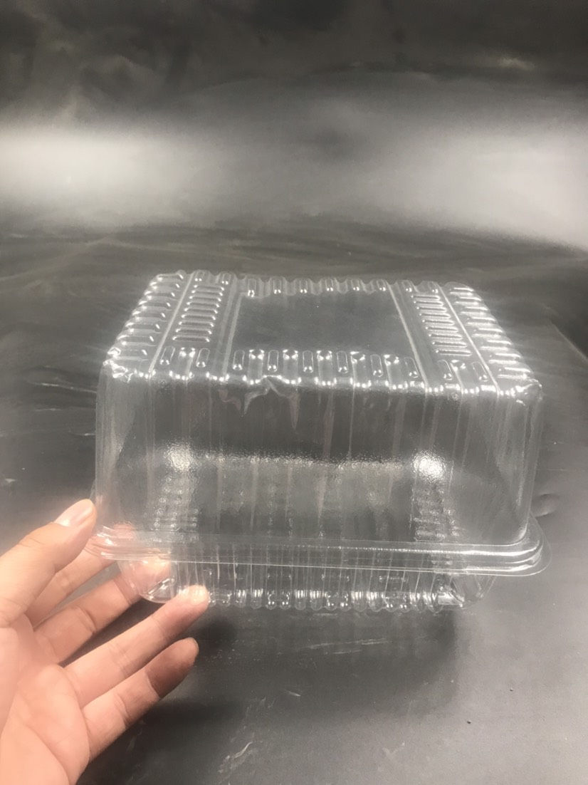 芽苗菜种植盒22×17×15豌豆苗种植盒带盖底部带漏水孔
