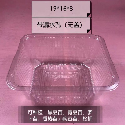 临沂芽苗菜种植盒19×16×8无盖带孔芽苗菜活体种植盒