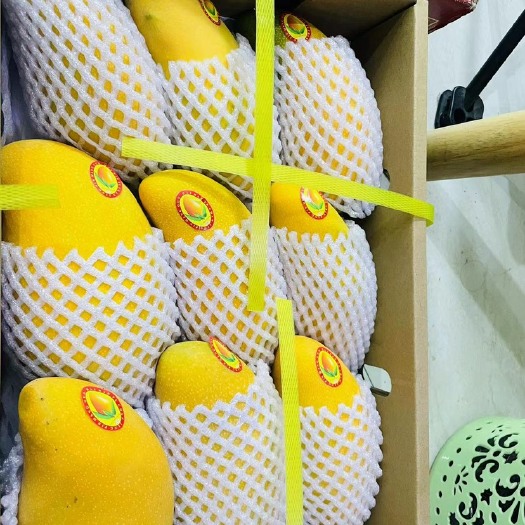三亚偏远地区请拍此链接(黑吉辽内蒙古青海甘肃宁夏)净果10斤