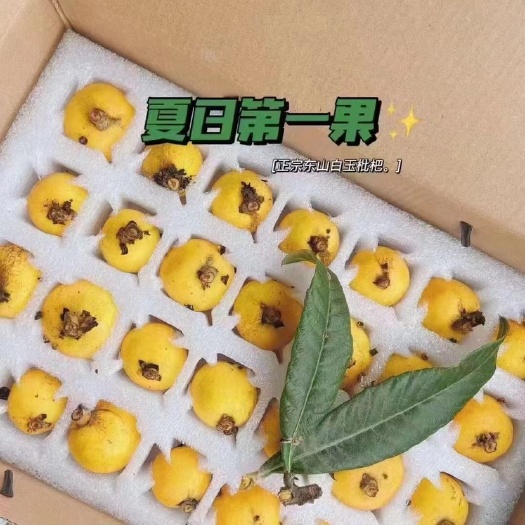 东山白玉枇杷火热销售中...........