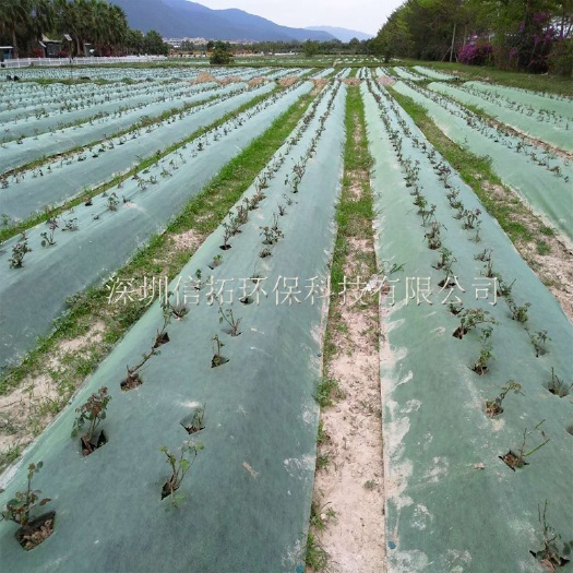 东莞市降解地膜