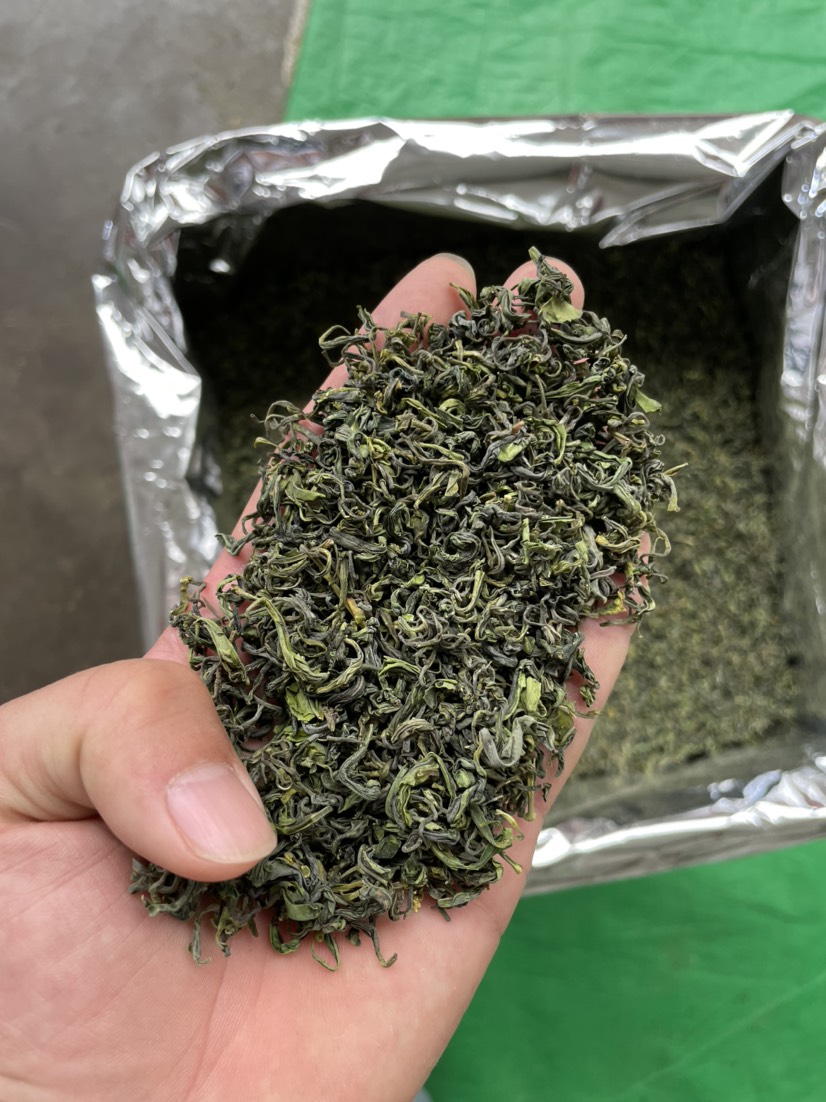 松阳香茶2022新茶叶高山云雾白茶春茶散装浓香耐泡型白茶绿茶