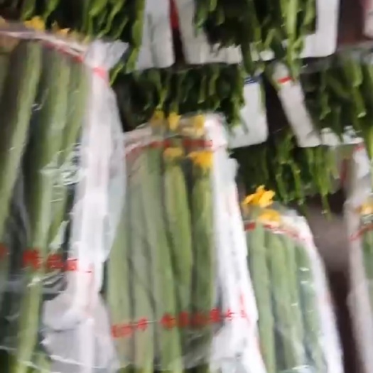 嘉兴丝瓜