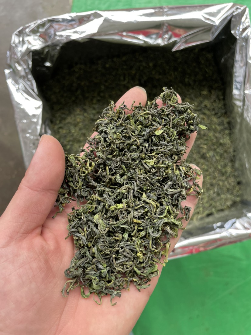 松阳香茶2022新茶叶高山云雾白茶春茶散装浓香耐泡型白茶绿茶