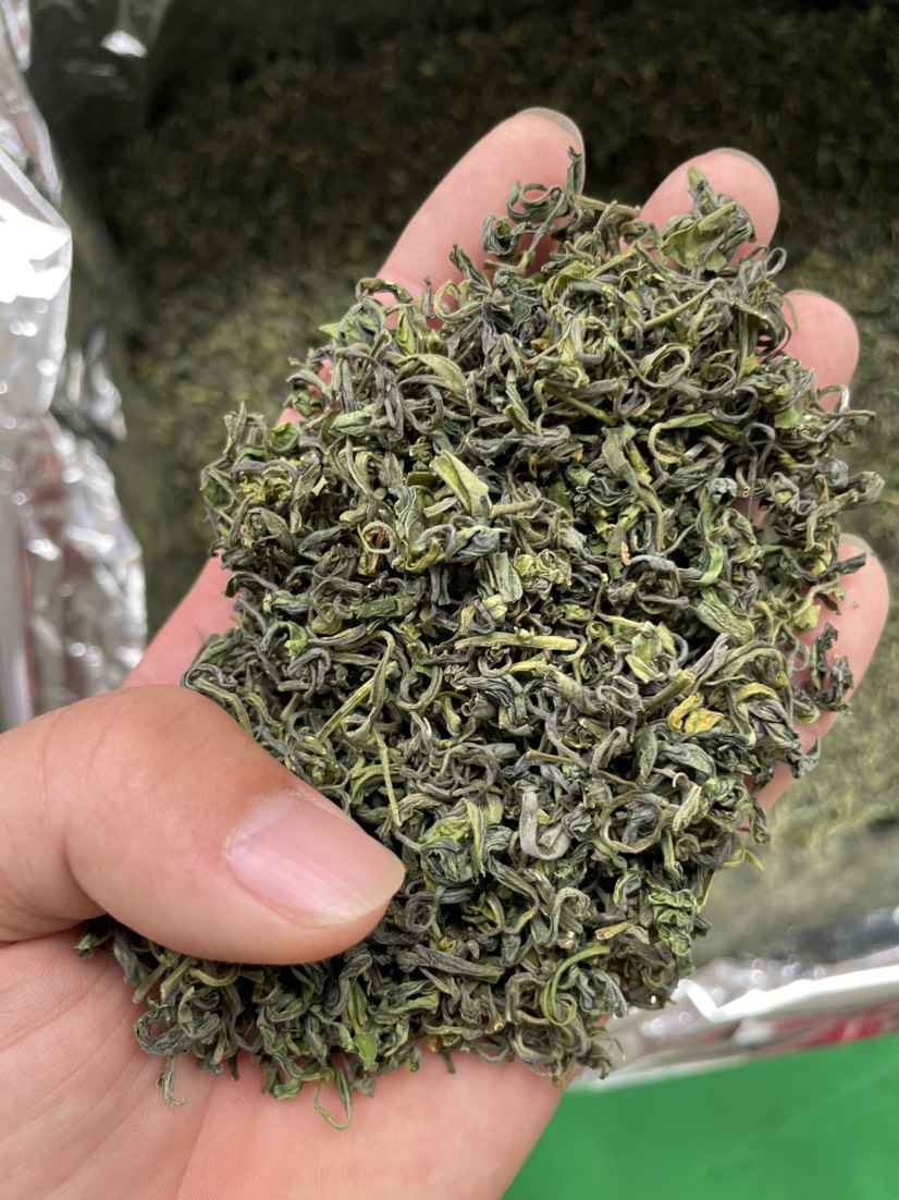 松阳香茶2022新茶叶高山云雾白茶春茶散装浓香耐泡型白茶绿茶