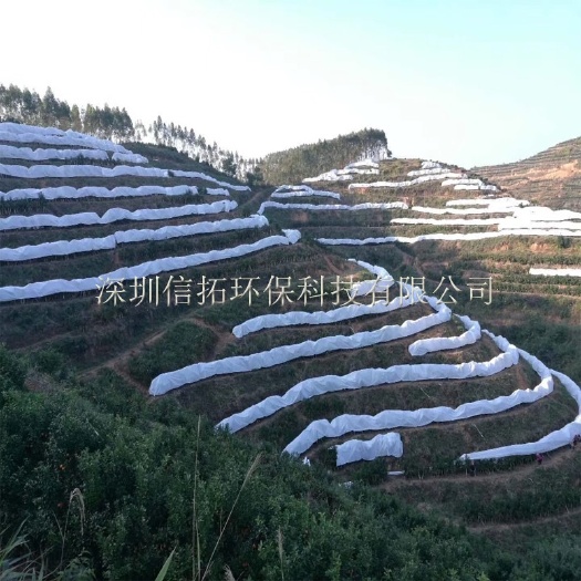 东莞市防冻膜 柑橘防寒布 厂家直销 规格齐全