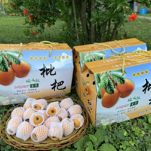 宜宾大五星枇杷果大甘甜