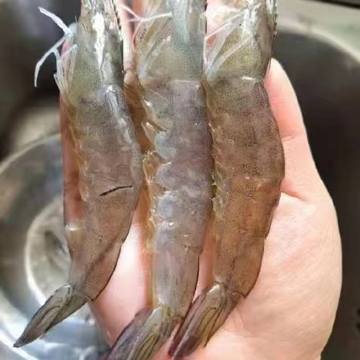 上海上海团购起送