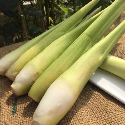 嘉兴浙江大号茭白