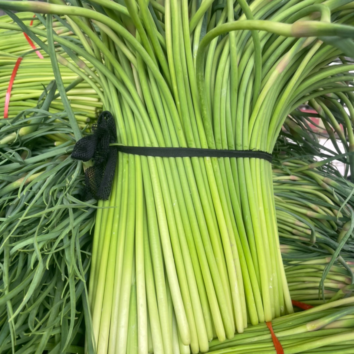 徐州预冷红帽蒜苔代发全国电商，社区团购，