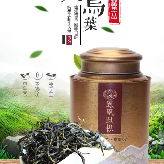 潮州凤凰单丛大乌叶