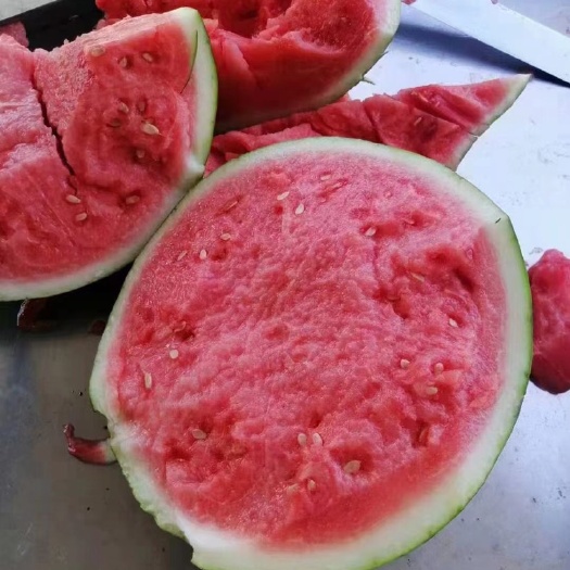夏邑县河南万亩大棚头茬无籽西瓜 8424 美都 基地采摘 产地发货