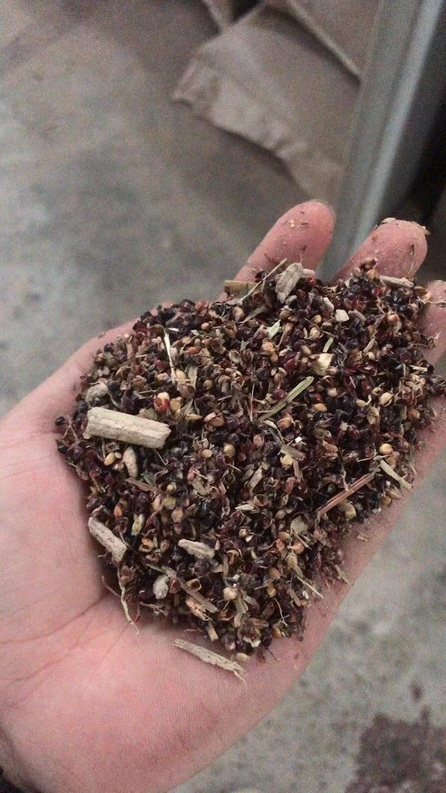 贵港优质高粱壳，适用养殖