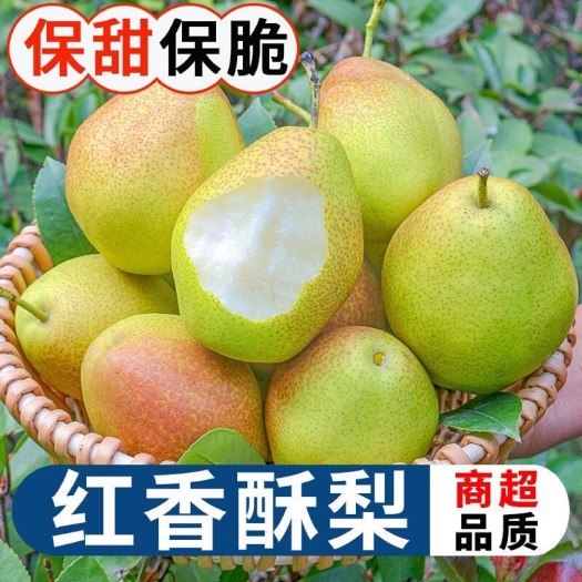 万荣县【薄皮香梨】红香酥香梨10/斤薄皮脆甜当季新鲜水果批发包