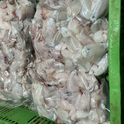 冰鲜牛蛙,源头直发,自产自销