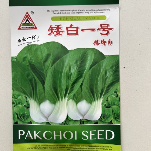华容县矮白一号正宗矮脚白小白菜种籽叶浅绿色椭圆形无茸毛叶柄白色匙型