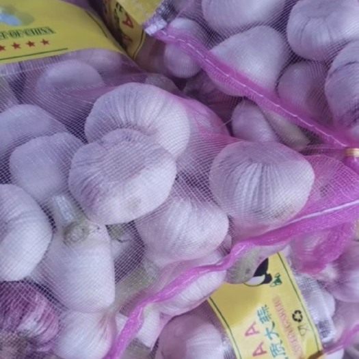徐州红皮大蒜