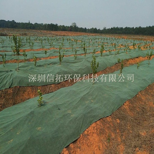 东莞市降解地膜