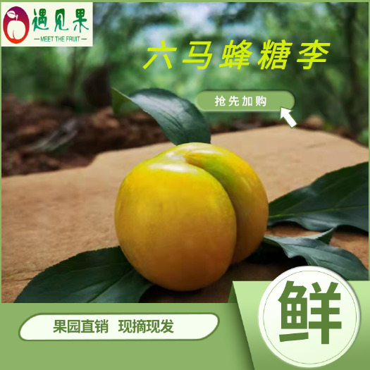 镇宁县蜂糖李