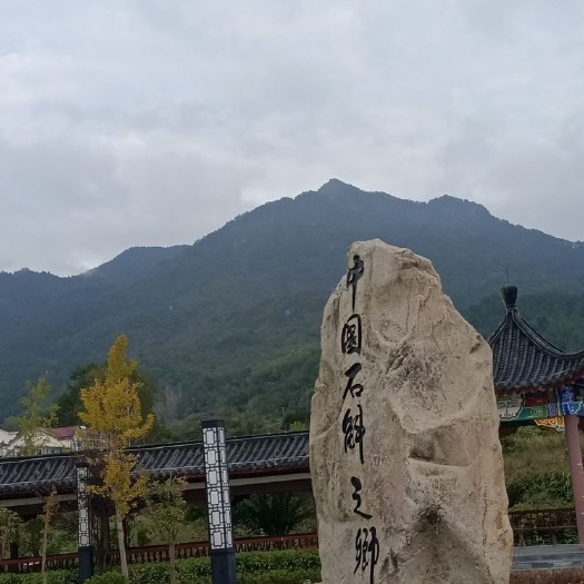 霍山县霍山铁皮石斛