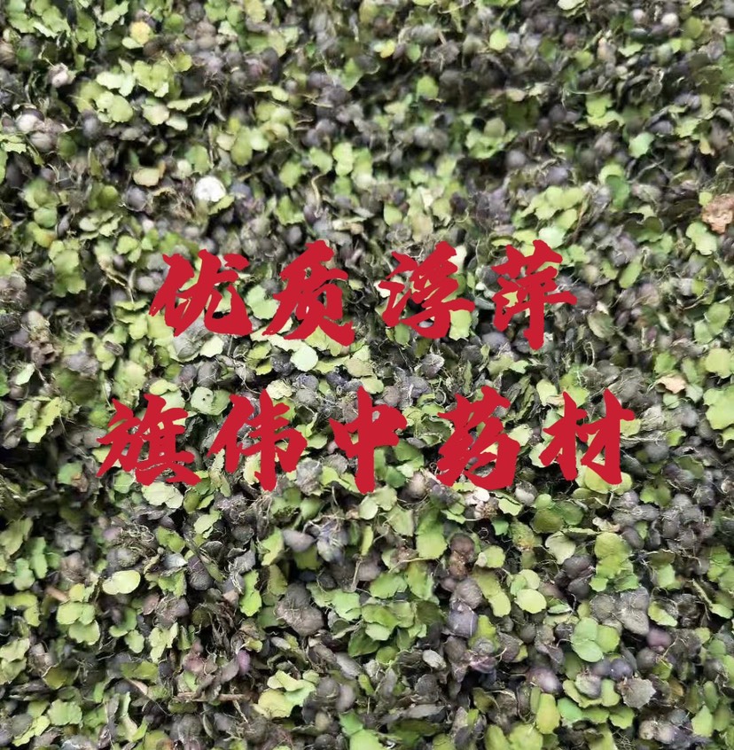 亳州浮萍草 优质统货 产地直销 包含量过全检！