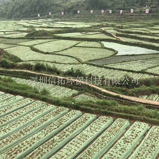 东莞市防草布 果树 药材专用